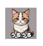 40表情マンチカン大集合！（個別スタンプ：17）