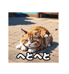 40表情マンチカン大集合！（個別スタンプ：23）