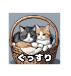 40表情マンチカン大集合！（個別スタンプ：24）