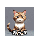 40表情マンチカン大集合！（個別スタンプ：30）