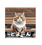 40表情マンチカン大集合！（個別スタンプ：38）