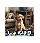 ラブラドールレトリバーの豊かな表情（個別スタンプ：3）