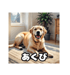 ラブラドールレトリバーの豊かな表情（個別スタンプ：6）