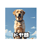 ラブラドールレトリバーの豊かな表情（個別スタンプ：8）