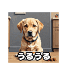 ラブラドールレトリバーの豊かな表情（個別スタンプ：9）