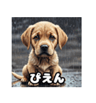 ラブラドールレトリバーの豊かな表情（個別スタンプ：12）