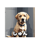 ラブラドールレトリバーの豊かな表情（個別スタンプ：21）