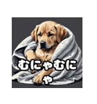 ラブラドールレトリバーの豊かな表情（個別スタンプ：29）