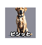 ラブラドールレトリバーの豊かな表情（個別スタンプ：30）