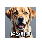 ラブラドールレトリバーの豊かな表情（個別スタンプ：31）