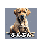 ラブラドールレトリバーの豊かな表情（個別スタンプ：34）