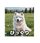 表情豊かなもふもふサモエドが大暴れ！（個別スタンプ：2）