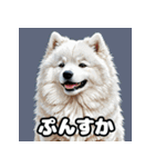 表情豊かなもふもふサモエドが大暴れ！（個別スタンプ：6）