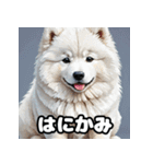 表情豊かなもふもふサモエドが大暴れ！（個別スタンプ：8）