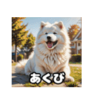 表情豊かなもふもふサモエドが大暴れ！（個別スタンプ：9）