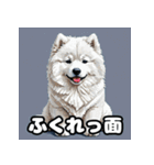 表情豊かなもふもふサモエドが大暴れ！（個別スタンプ：11）