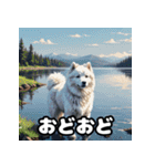 表情豊かなもふもふサモエドが大暴れ！（個別スタンプ：16）