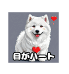 表情豊かなもふもふサモエドが大暴れ！（個別スタンプ：18）