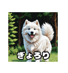 表情豊かなもふもふサモエドが大暴れ！（個別スタンプ：20）