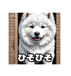 表情豊かなもふもふサモエドが大暴れ！（個別スタンプ：23）
