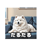 表情豊かなもふもふサモエドが大暴れ！（個別スタンプ：28）