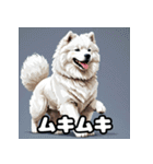 表情豊かなもふもふサモエドが大暴れ！（個別スタンプ：29）