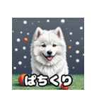 表情豊かなもふもふサモエドが大暴れ！（個別スタンプ：30）