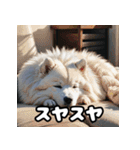 表情豊かなもふもふサモエドが大暴れ！（個別スタンプ：34）