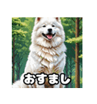 表情豊かなもふもふサモエドが大暴れ！（個別スタンプ：35）