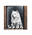 表情豊かなもふもふサモエドが大暴れ！（個別スタンプ：38）