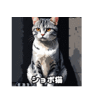 40表情アメリカンショートヘアねこ（個別スタンプ：3）