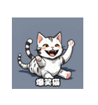 40表情アメリカンショートヘアねこ（個別スタンプ：4）