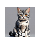 40表情アメリカンショートヘアねこ（個別スタンプ：5）