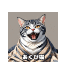 40表情アメリカンショートヘアねこ（個別スタンプ：6）