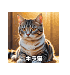 40表情アメリカンショートヘアねこ（個別スタンプ：8）