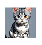 40表情アメリカンショートヘアねこ（個別スタンプ：9）