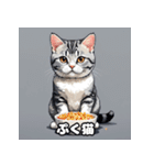 40表情アメリカンショートヘアねこ（個別スタンプ：10）