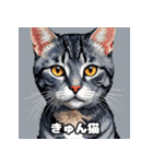 40表情アメリカンショートヘアねこ（個別スタンプ：13）