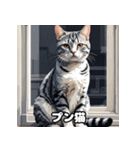 40表情アメリカンショートヘアねこ（個別スタンプ：14）