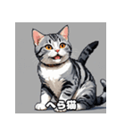 40表情アメリカンショートヘアねこ（個別スタンプ：18）