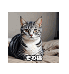 40表情アメリカンショートヘアねこ（個別スタンプ：25）