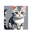 40表情アメリカンショートヘアねこ（個別スタンプ：26）