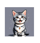 40表情アメリカンショートヘアねこ（個別スタンプ：27）