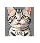 40表情アメリカンショートヘアねこ（個別スタンプ：28）