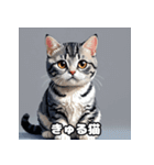 40表情アメリカンショートヘアねこ（個別スタンプ：29）