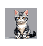 40表情アメリカンショートヘアねこ（個別スタンプ：32）