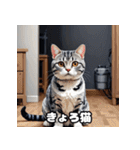 40表情アメリカンショートヘアねこ（個別スタンプ：35）