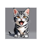 40表情アメリカンショートヘアねこ（個別スタンプ：36）