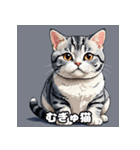 40表情アメリカンショートヘアねこ（個別スタンプ：39）