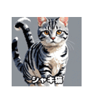 40表情アメリカンショートヘアねこ（個別スタンプ：40）